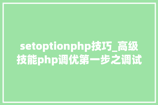setoptionphp技巧_高级技能php调优第一步之调试和调优对象xdebug