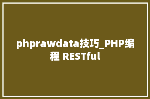 phprawdata技巧_PHP编程 RESTful