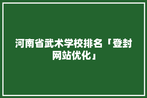 河南省武术学校排名「登封网站优化」