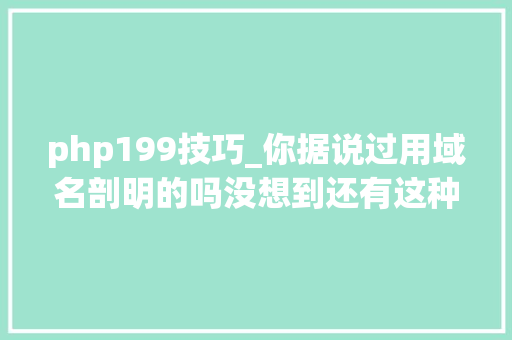 php199技巧_你据说过用域名剖明的吗没想到还有这种浪漫