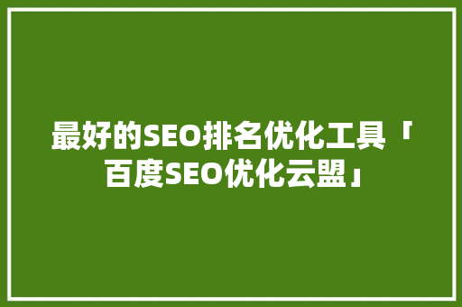 最好的SEO排名优化工具「百度SEO优化云盟」