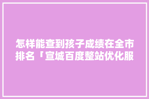 怎样能查到孩子成绩在全市排名「宣城百度整站优化服务」