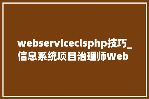 webserviceclsphp技巧_信息系统项目治理师Web Service技能篇