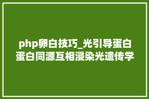 php卵白技巧_光引导蛋白蛋白同源互相浸染光遗传学对象在光激活旗子暗记通路中的应用