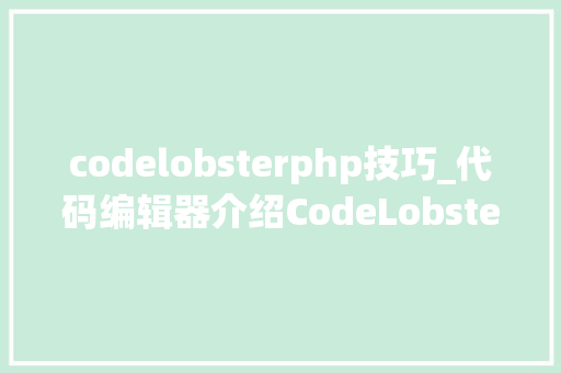 codelobsterphp技巧_代码编辑器介绍CodeLobster IDE Pro及安装教程