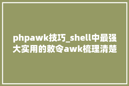 phpawk技巧_shell中最强大实用的敕令awk梳理清楚就是这么简单