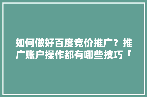 如何做好百度竞价推广？推广账户操作都有哪些技巧「百度seo推广方案」