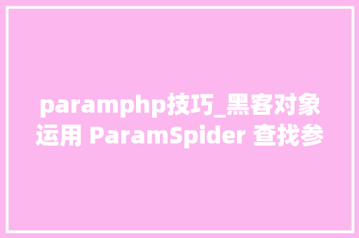 paramphp技巧_黑客对象运用 ParamSpider 查找参数