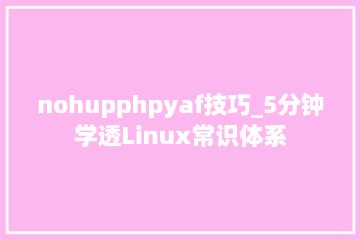 nohupphpyaf技巧_5分钟学透Linux常识体系