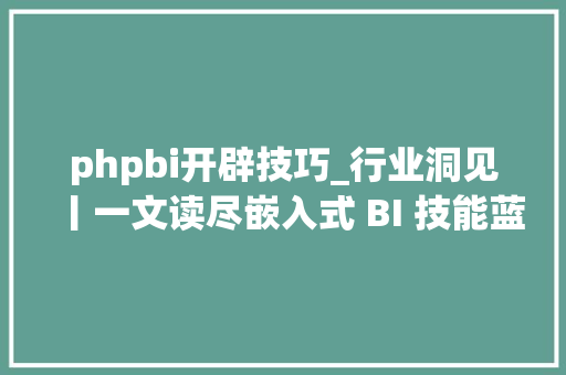 phpbi开辟技巧_行业洞见丨一文读尽嵌入式 BI 技能蓝图