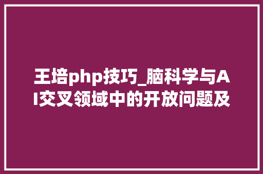 王培php技巧_脑科学与AI交叉领域中的开放问题及猜测