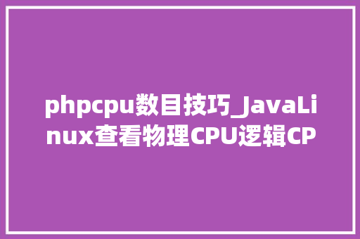 phpcpu数目技巧_JavaLinux查看物理CPU逻辑CPU超线程数