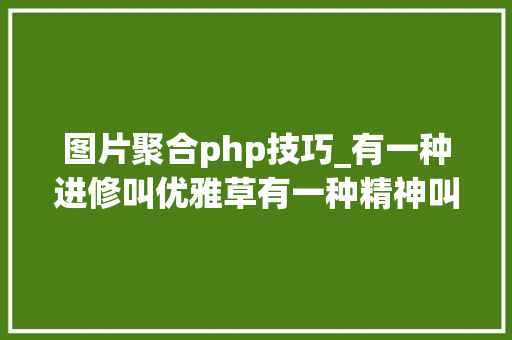 图片聚合php技巧_有一种进修叫优雅草有一种精神叫分享
