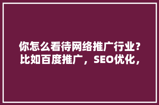 你怎么看待网络推广行业？比如百度推广，SEO优化，可以分析一下发展前景怎么样吗「百度推广优化seo平台怎么样」
