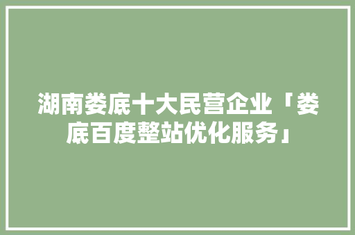 湖南娄底十大民营企业「娄底百度整站优化服务」