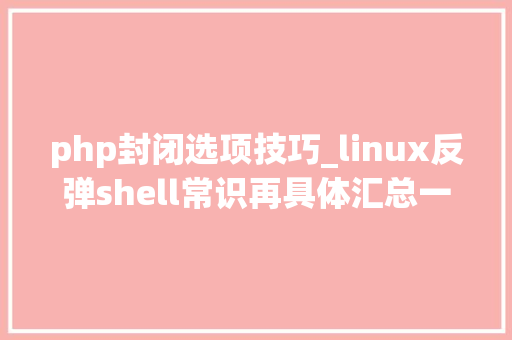 php封闭选项技巧_linux反弹shell常识再具体汇总一下