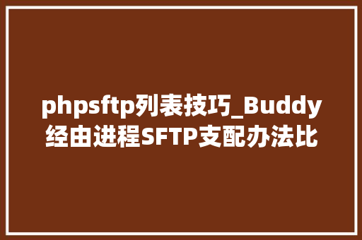 phpsftp列表技巧_Buddy经由进程SFTP支配办法比通例支配好太多