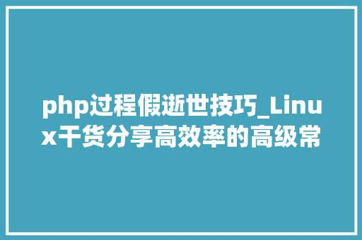 php过程假逝世技巧_Linux干货分享高效率的高级常用敕令