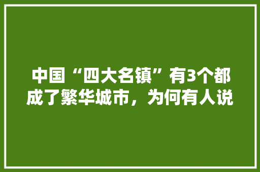中国“四大名镇”有3个都成了繁华城市，为何有人说朱仙镇却彻底没落「」