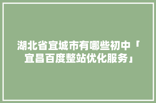 湖北省宜城市有哪些初中「宜昌百度整站优化服务」