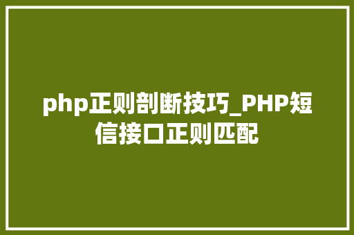 php正则剖断技巧_PHP短信接口正则匹配