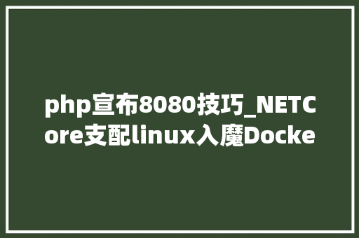 php宣布8080技巧_NETCore支配linux入魔DockerJenkins