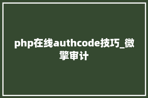 php在线authcode技巧_微擎审计