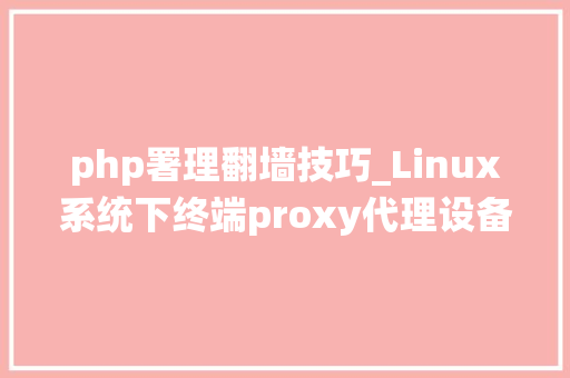 php署理翻墙技巧_Linux系统下终端proxy代理设备