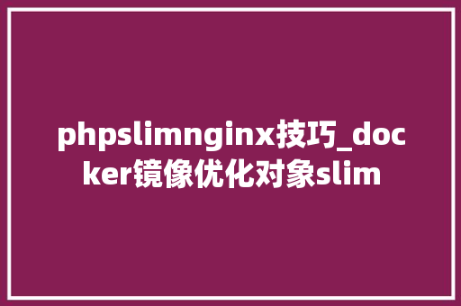 phpslimnginx技巧_docker镜像优化对象slim