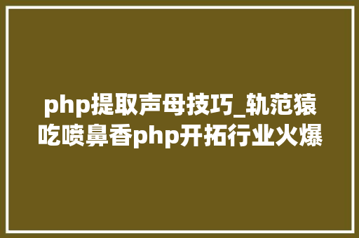 php提取声母技巧_轨范猿吃喷鼻香php开拓行业火爆相关域名六位数被收购启用