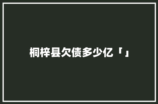 桐梓县欠债多少亿「」