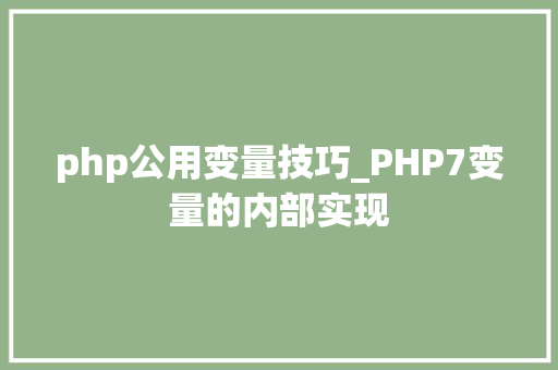 php公用变量技巧_PHP7变量的内部实现