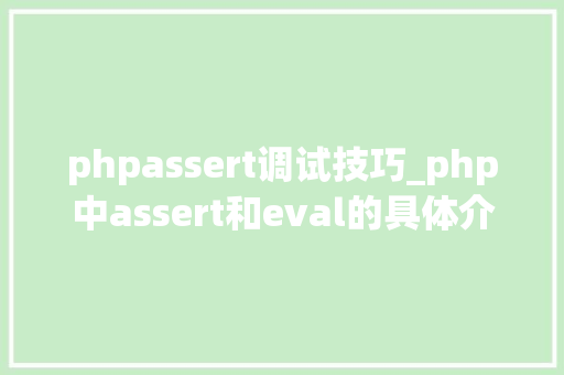 phpassert调试技巧_php中assert和eval的具体介绍代码示例