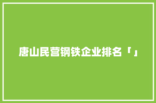 唐山民营钢铁企业排名「」