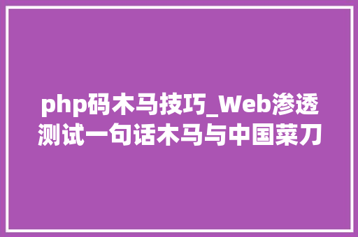 php码木马技巧_Web渗透测试一句话木马与中国菜刀