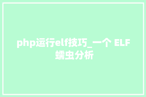 php运行elf技巧_一个 ELF 蠕虫分析