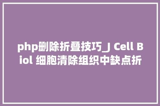 php删除折叠技巧_J Cell Biol 细胞清除组织中缺点折叠的蛋白质的新机制
