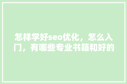 怎样学好seo优化，怎么入门，有哪些专业书籍和好的网站「优化百度seo技术搜索引擎」
