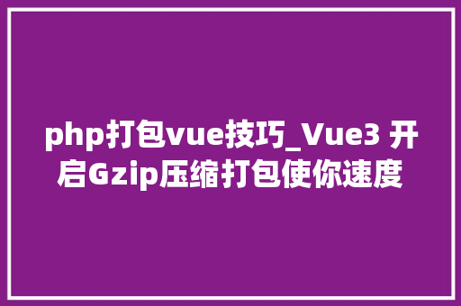 php打包vue技巧_Vue3 开启Gzip压缩打包使你速度更快