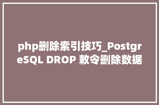 php删除索引技巧_PostgreSQL DROP 敕令删除数据库对象