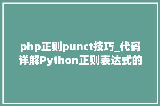 php正则punct技巧_代码详解Python正则表达式的最终运用指南