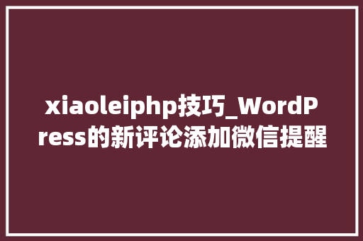 xiaoleiphp技巧_WordPress的新评论添加微信提醒