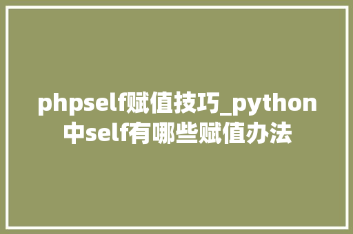phpself赋值技巧_python中self有哪些赋值办法