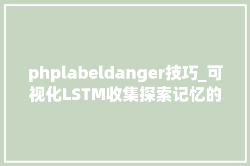 phplabeldanger技巧_可视化LSTM收集探索记忆的形成