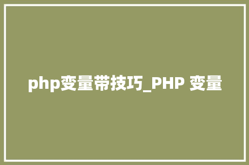 php变量带技巧_PHP 变量