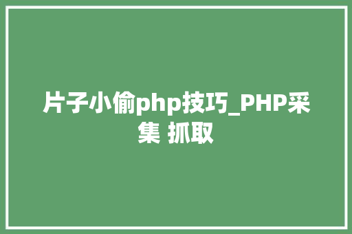 片子小偷php技巧_PHP采集 抓取