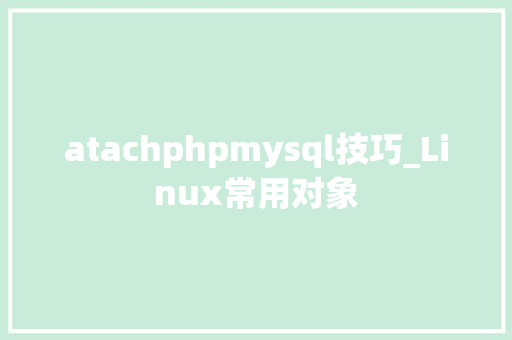 atachphpmysql技巧_Linux常用对象