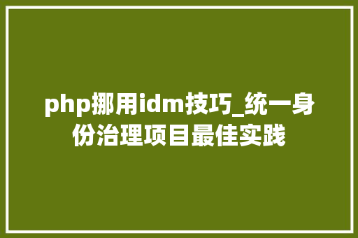 php挪用idm技巧_统一身份治理项目最佳实践