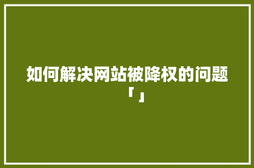 如何解决网站被降权的问题「」