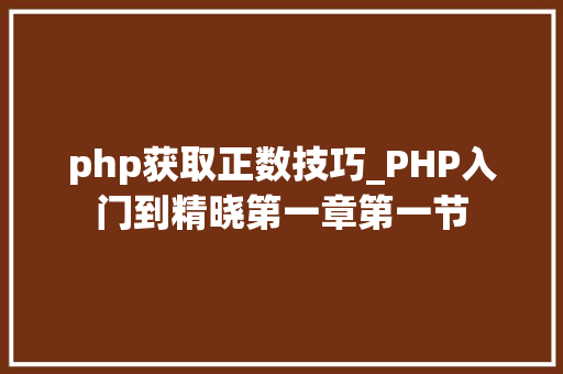 php获取正数技巧_PHP入门到精晓第一章第一节